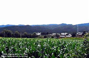 051 - Shaxi